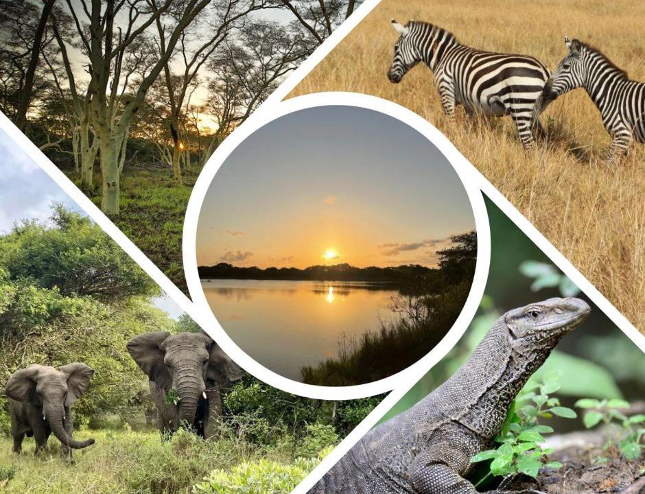 Hluhluwe Hotel | Bonamanzi Game Reserve
