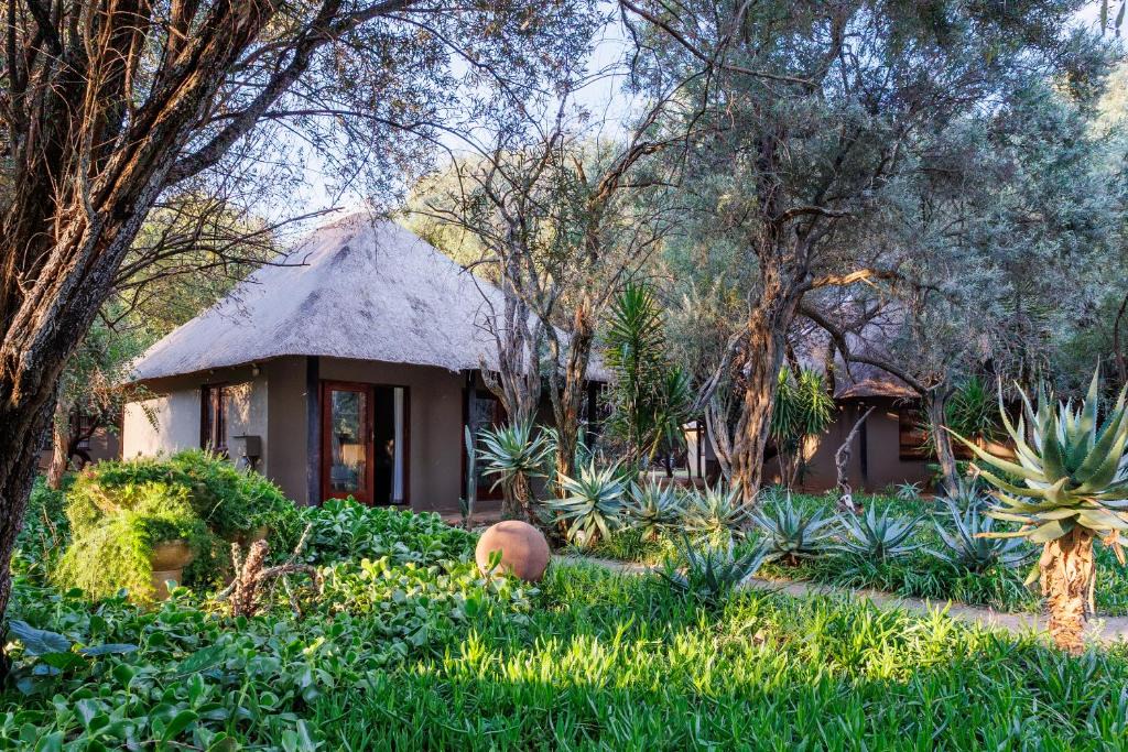 Letsemeng Cabin | Cheasas Peak Safaris