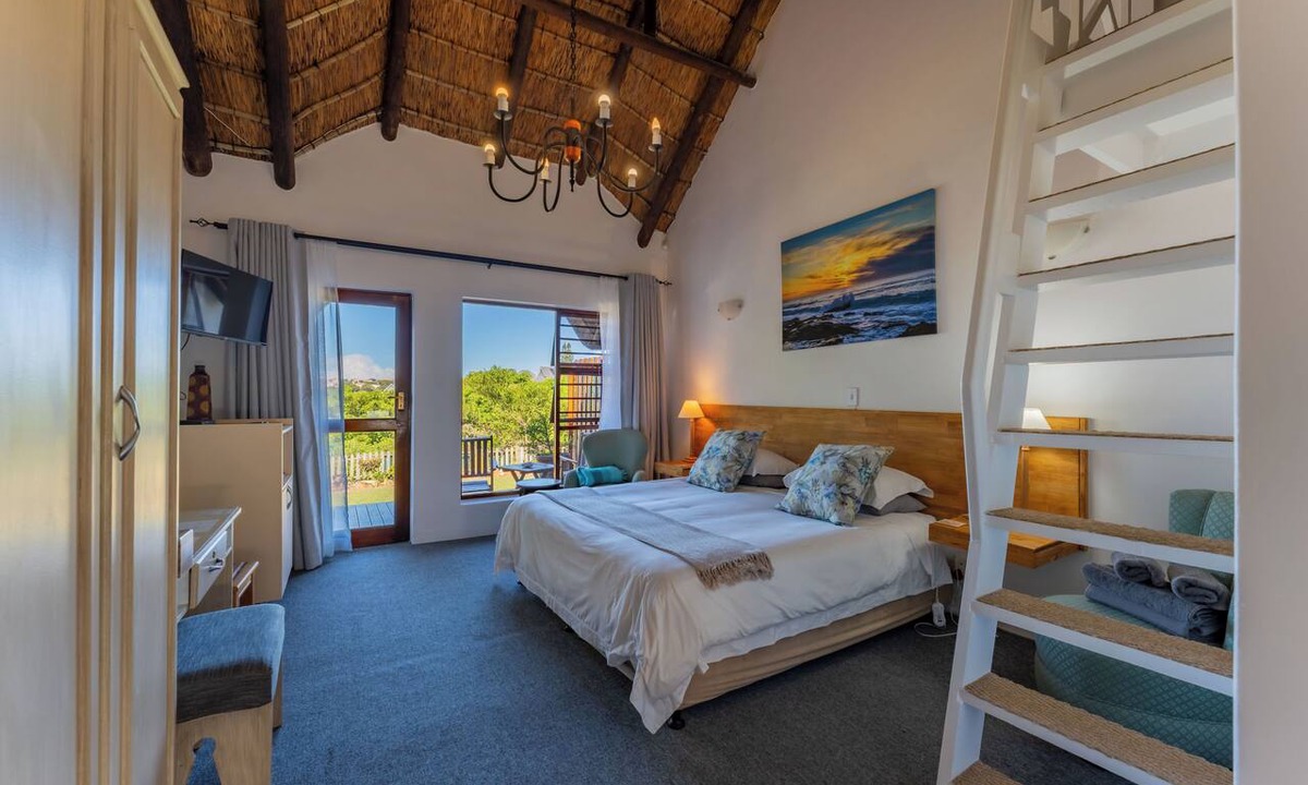 Saint Francis Bay House | Cycads On Sea