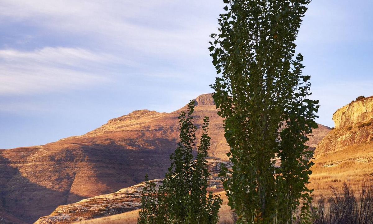 Clarens House | Dynasty Red Mountain Ranch