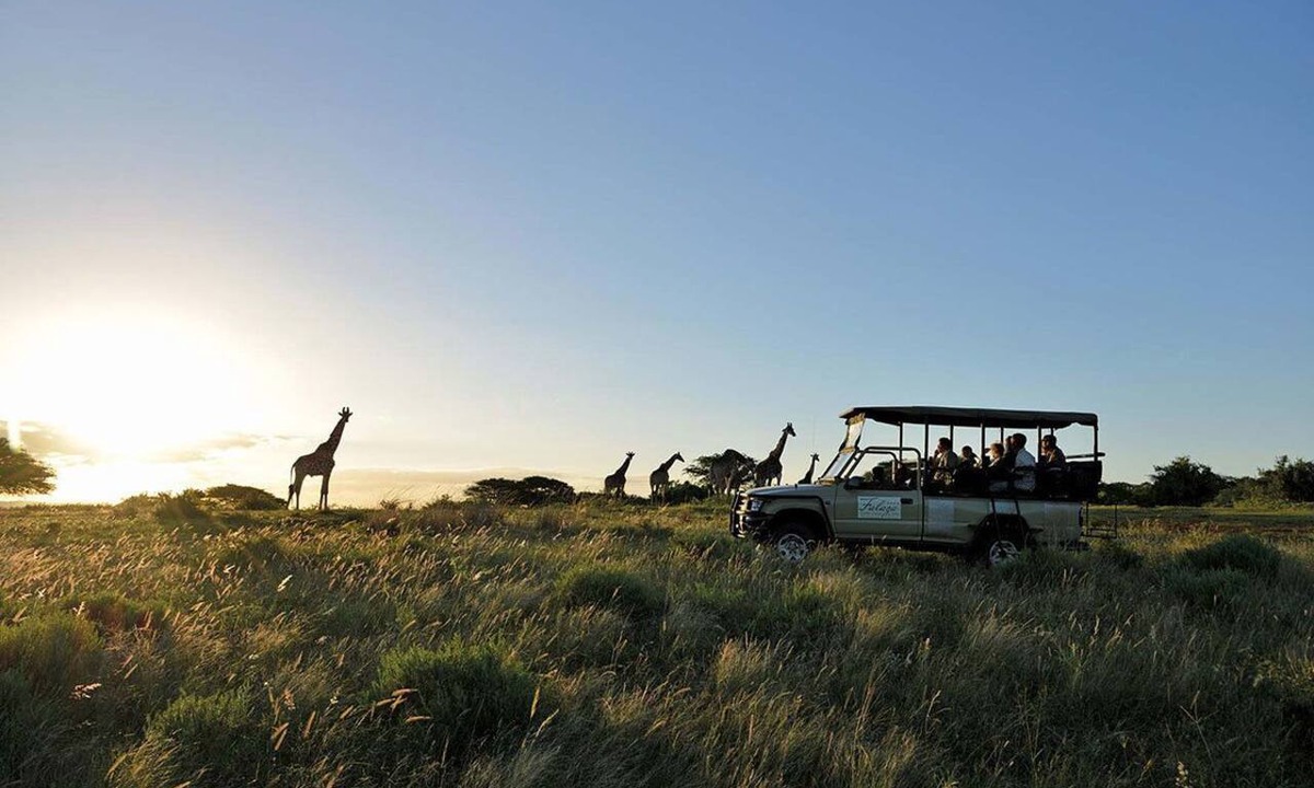 Hluhluwe Cabin | Falaza Game Lodge