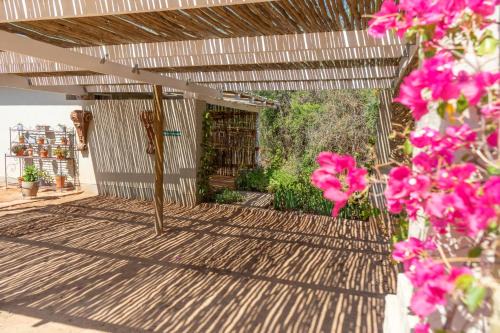 Calitzdorp House | Gasteria Grange