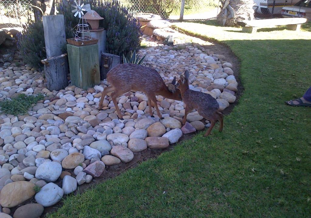 De Hoop House | Grysbok Self Catering Accommodation