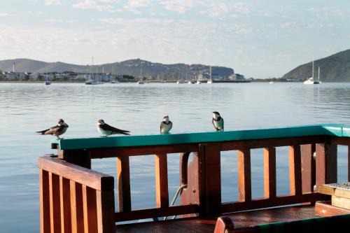 Knysna Boat Rental | Knysna Houseboat Myrtle