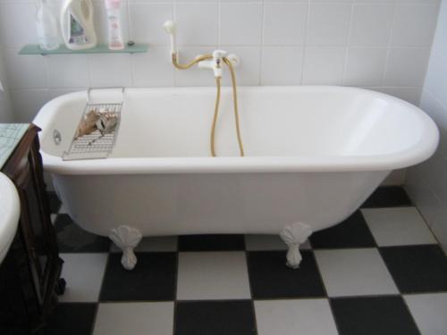 Ladismith House | Ladismith Manor