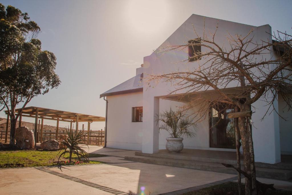 Breede River Valley House | Melk Houte Bosch Guest Farm