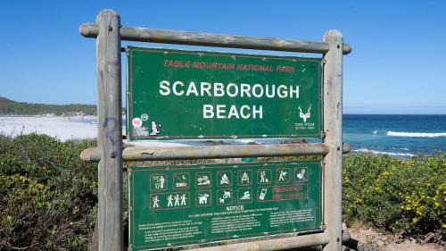 Scarborough Apartment | Modern beach cottage in Conservation village