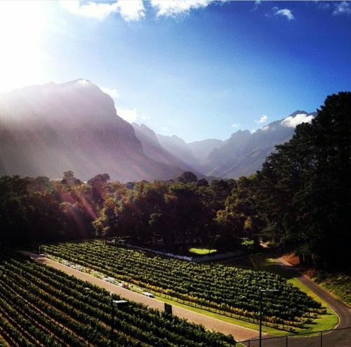 Cape Winelands House | MolenVliet Estate - Boutique Bed & Breakfast