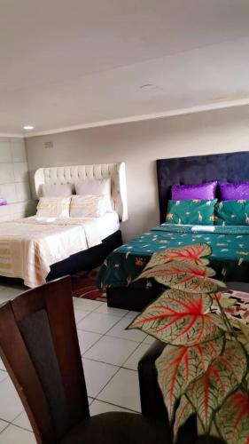 Meyerton House | Moon Night Guest House