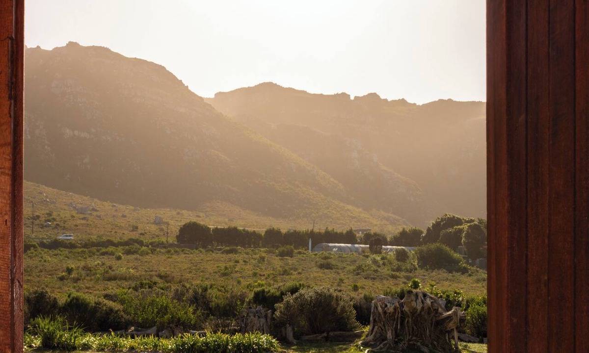 Elgin House | MOS-Fynbos