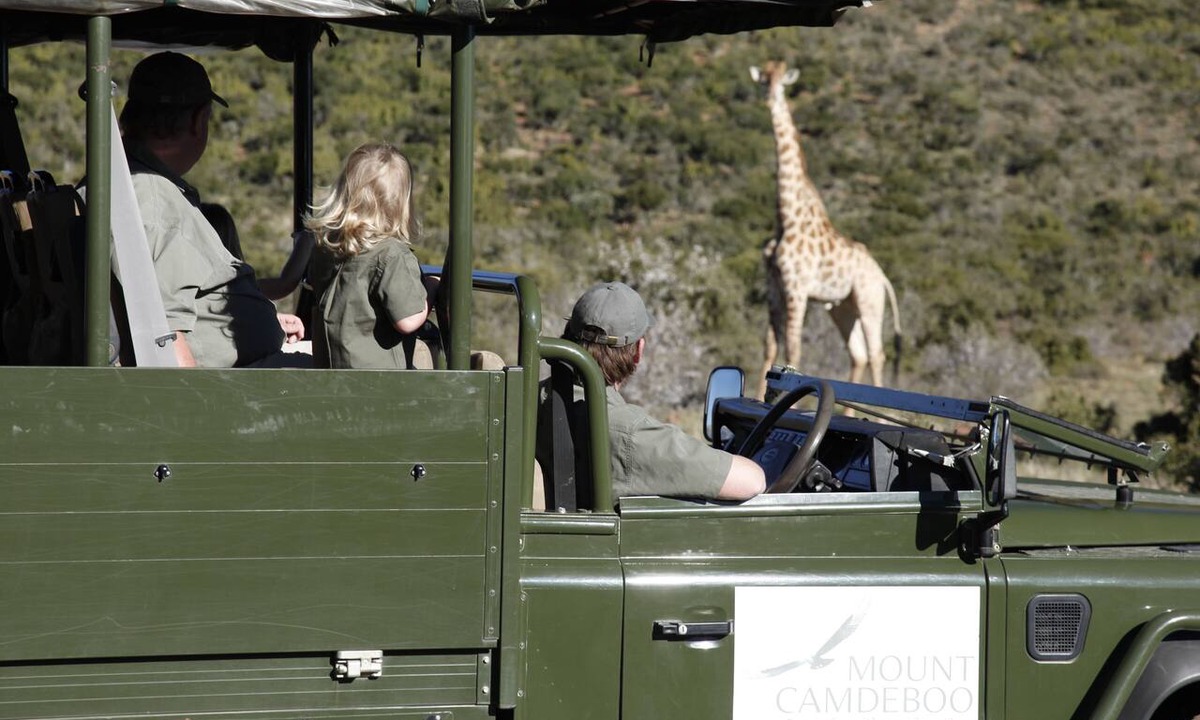 Blue Crane Route Cabin | Mount Camdeboo Private Game Reserve by NEWMARK