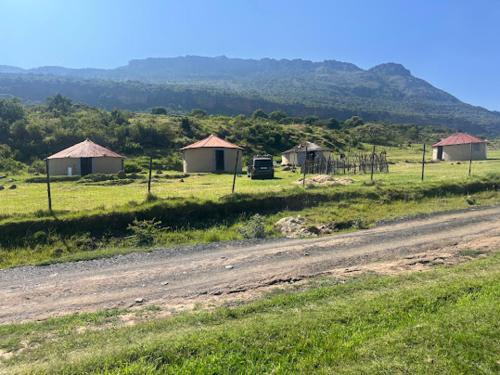 Cyrildene Other | Musa Msomi Homestead
