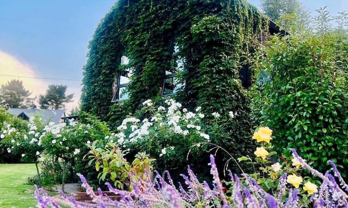 Clarens Apartment | NEKED House Boutique Hotel