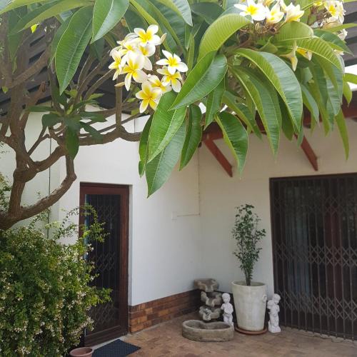 Somerset West Apartment | Oak on Blair