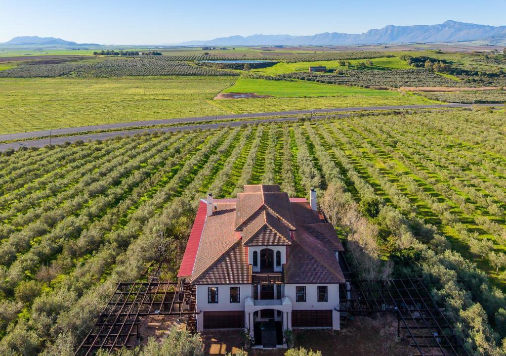 Paarl Apartment | Olyfhoek Farm Accomodations