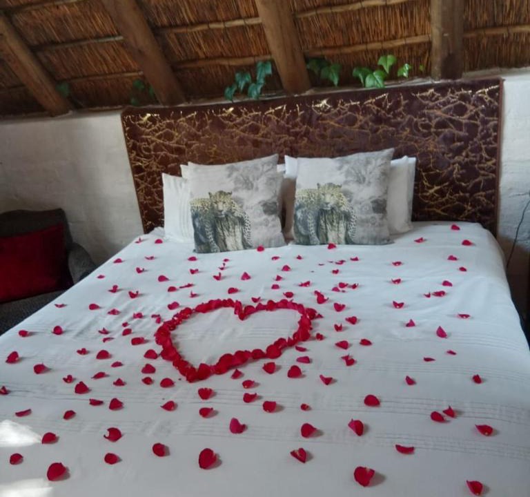 Randpark Ridge Apartment | Pantera Lodge