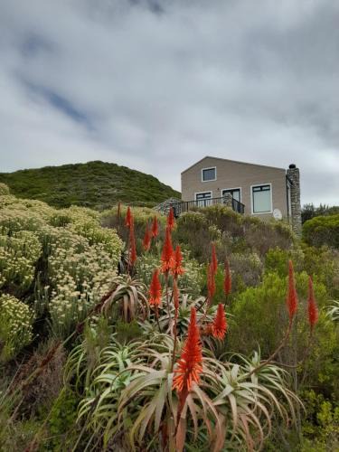 Betty's Bay Apartment | Peaceful Seaside Cottage, Betty's Bay Accommodation