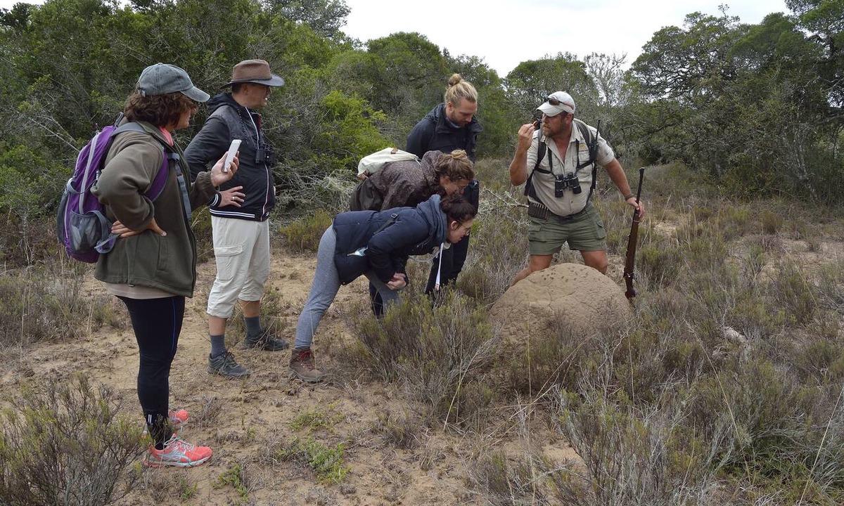 Paterson Cabin | Quatermain's 1920's Safari Camp - Amakhala Game Reserve