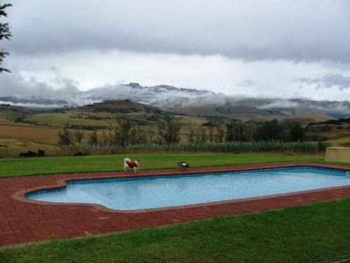 Okhahlamba Hotel | River Crossing