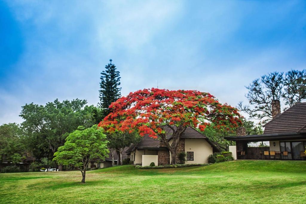 Hazyview Hotel | Sabi River Sun Resort
