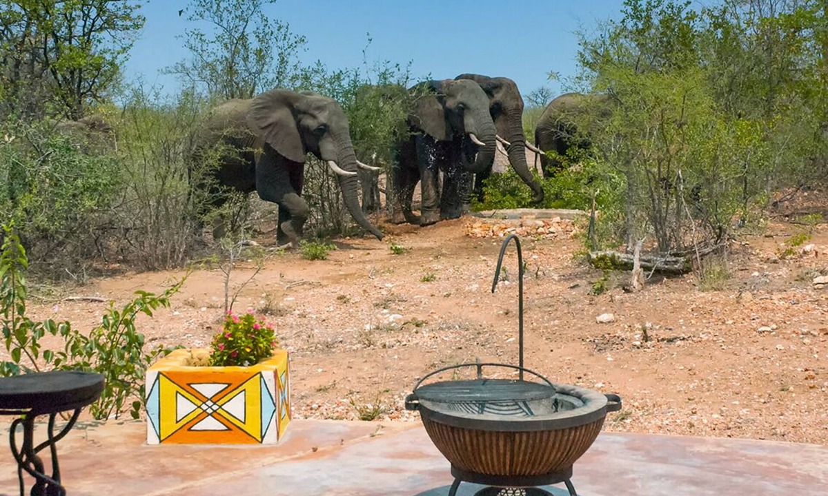Phalaborwa House | Safari Lodge in Kruger National Park with a waterhole and a hot tub