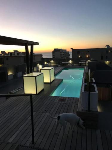 Sea Point Apartment | Seapoint apartment - Pool - Gym - Balcony