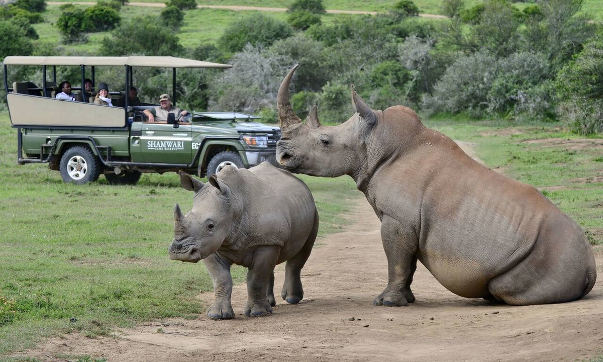 Paterson Hotel | Shamwari Sindile