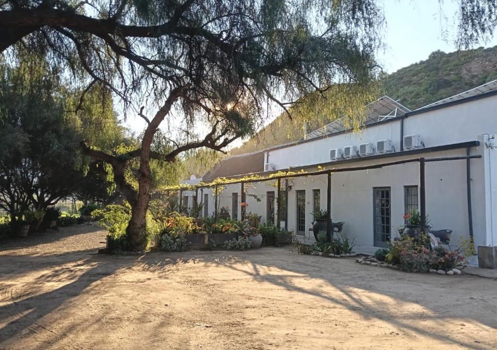 Calitzdorp Bed & Breakfast | Soeterus Guest Farm