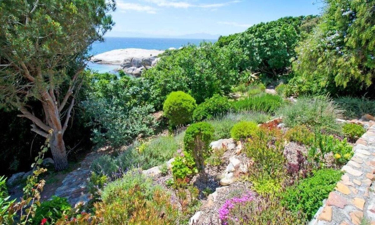 Simon's Town House | Stunning Boulders Beach house