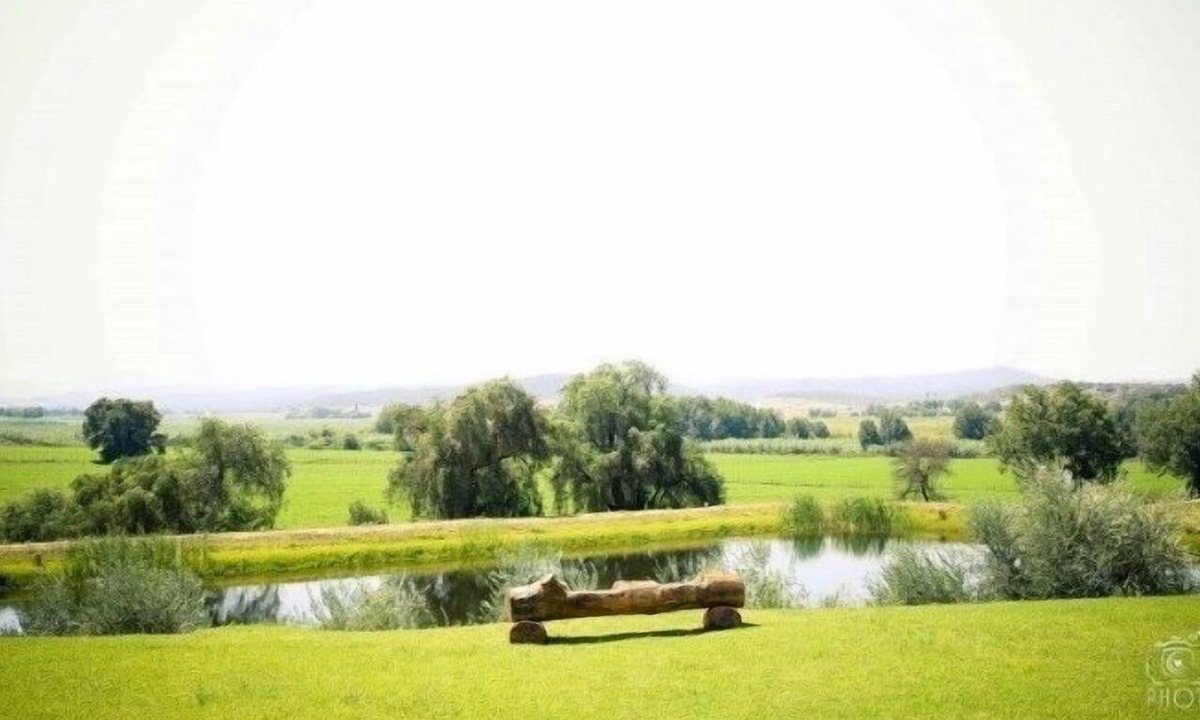 Oudtshoorn Hotel | Surval Boutique Olive Estate