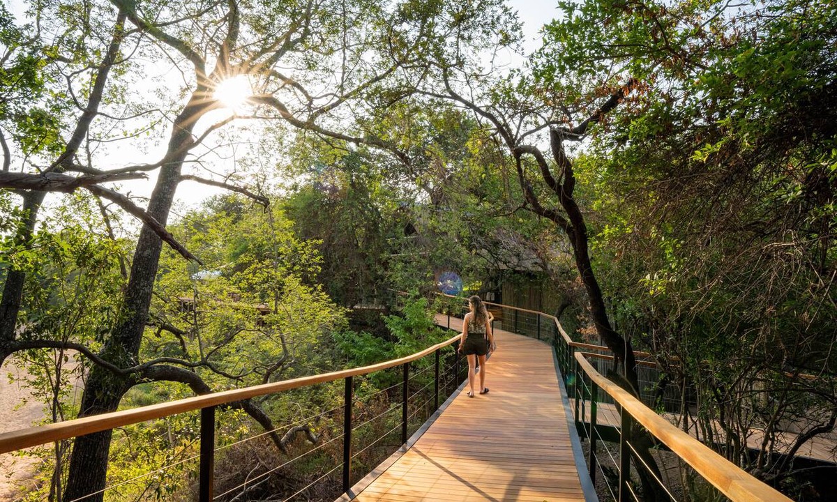 Thorny Bush Game Reserve Cabin | Thornybush Game Lodge