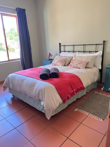Oudtshoorn Apartment | Tuinhuis