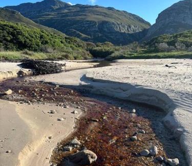 Betty's Bay House | Beachside cottage with breathtaking views