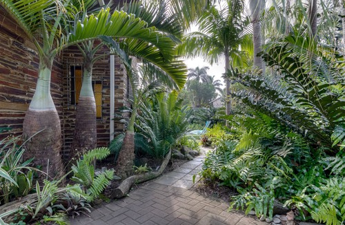 St. Lucia Bed & Breakfast | Buya Futhi Bed & Breakfast