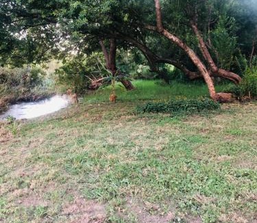 Barberton Other | Camping Ground