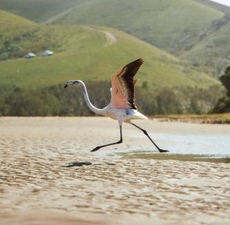 Port St Johns Other | Deja Blue Beach Camp