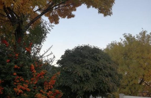 Burgersdorp House | DeKat Self Catering
