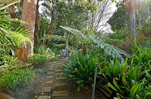 Constantia House | Dressage Guesthouse