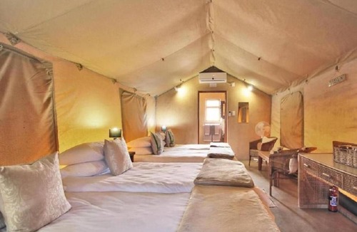 Vioolsdrift Settlement Resort | Frontier River Resort