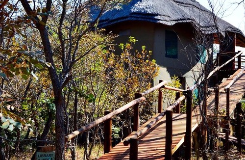 Sterkrivier Other | Honeyguide Ranger Camp
