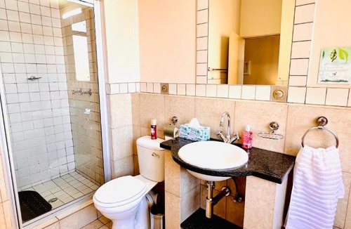 Downtown Johannesburg Apartment | iNtsika Boutique Modern Johannesburg CBD Apartment
