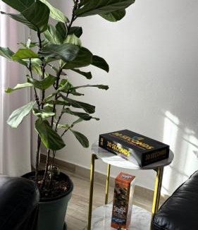 Polokwane House | LinRitha Guesthouse