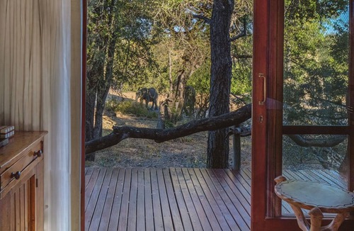 Kruger National Park House | Motswari African Retreat & Walking Safaris by Newmark