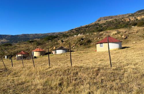 Cyrildene Other | Musa Msomi Homestead