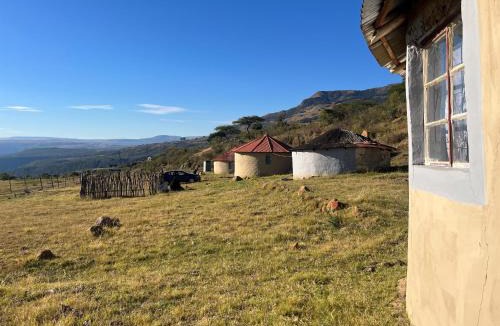 Cyrildene Other | Musa Msomi Homestead