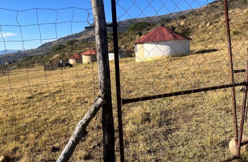 Cyrildene Other | Musa Msomi Homestead