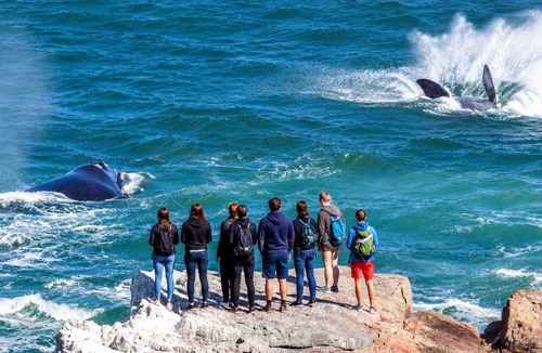 Westcliff Hostel | never@home Hermanus