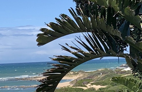 Port Alfred House | Paradise with a View of the Beach