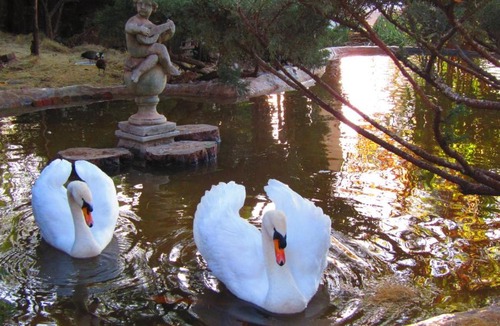 Centurion Bed & Breakfast | Pheasant Hill Bed and Breakfast