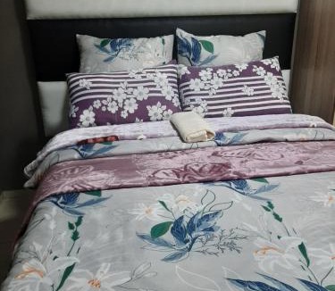 Pretoria House | Portia inn accommodation